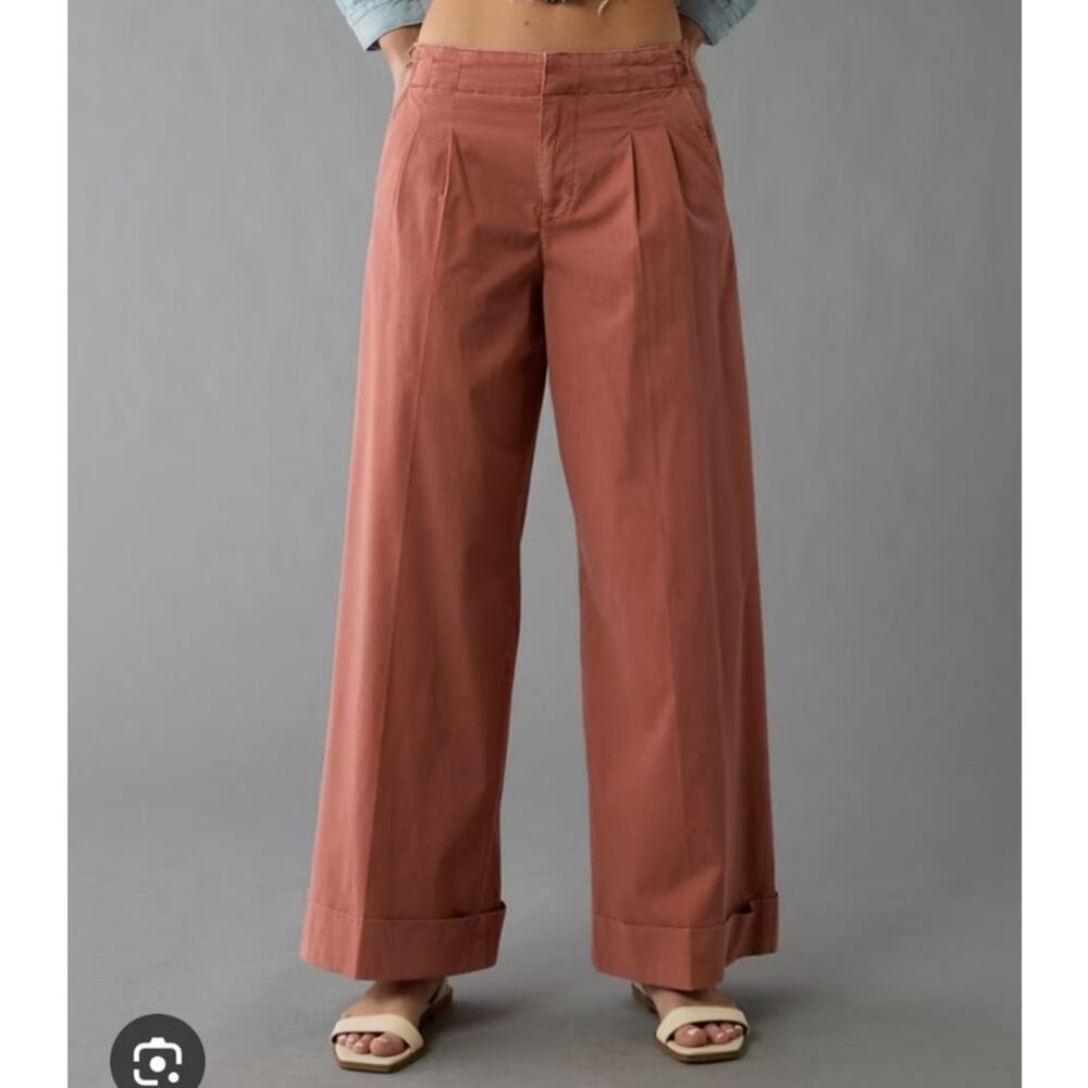American Eagle poplin wide leg trouser pants terracotta pleated